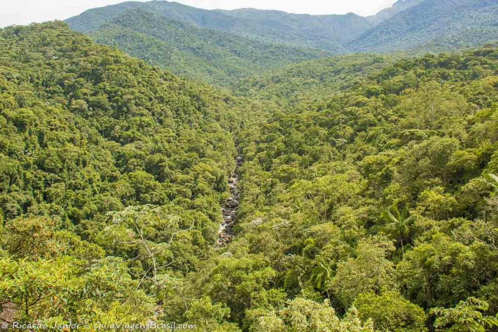 Imagem da bela floresta vista do Mirante.